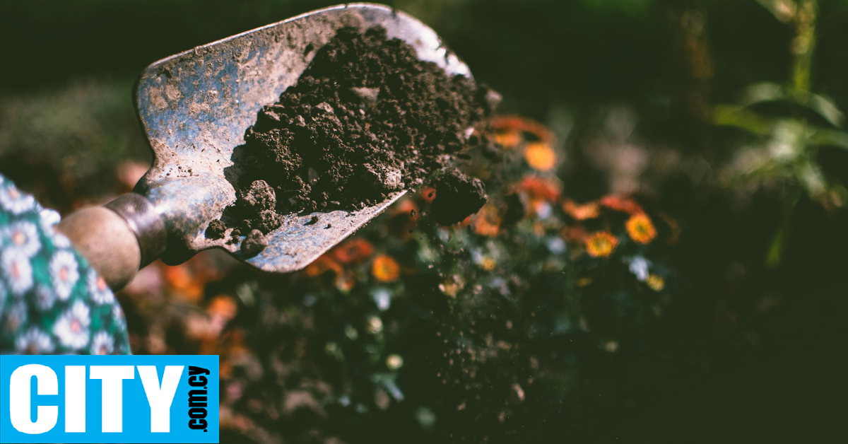 Τύπος βρήκε χρυσές ράβδους και νομίσματα θαμμένα στον κήπο του σπιτιού του