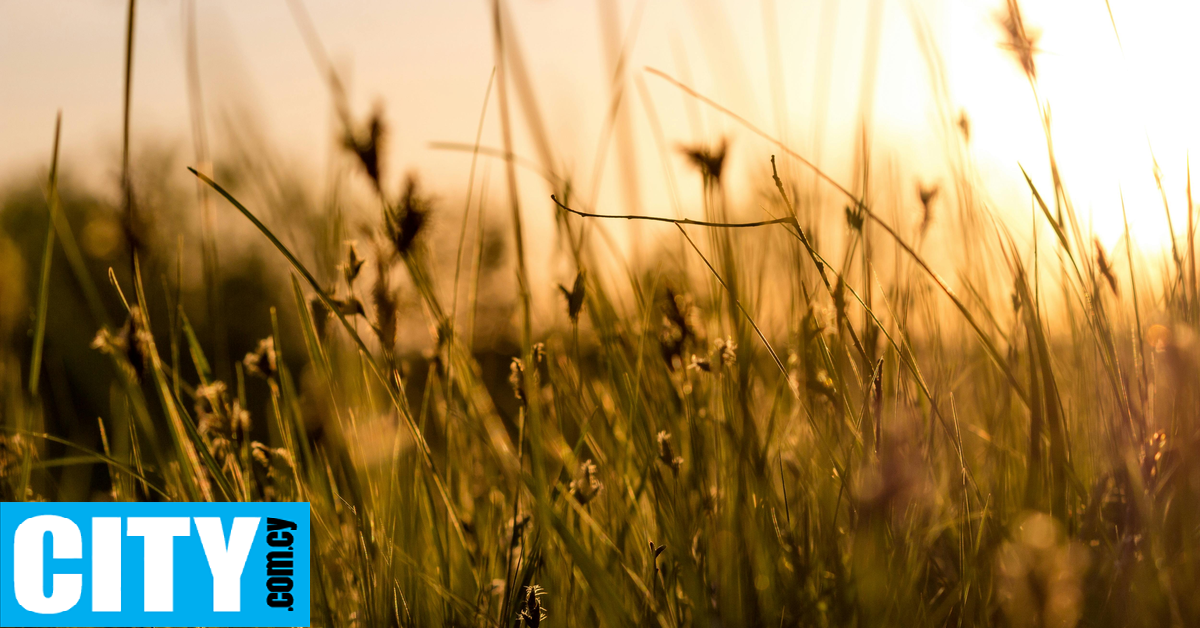 Πώς θα εξελιχθεί το σκηνικό του καιρού το Σαββατοκύριακο Πώς θα εξελιχθεί το σκηνικό του καιρού το Σαββατοκύριακο