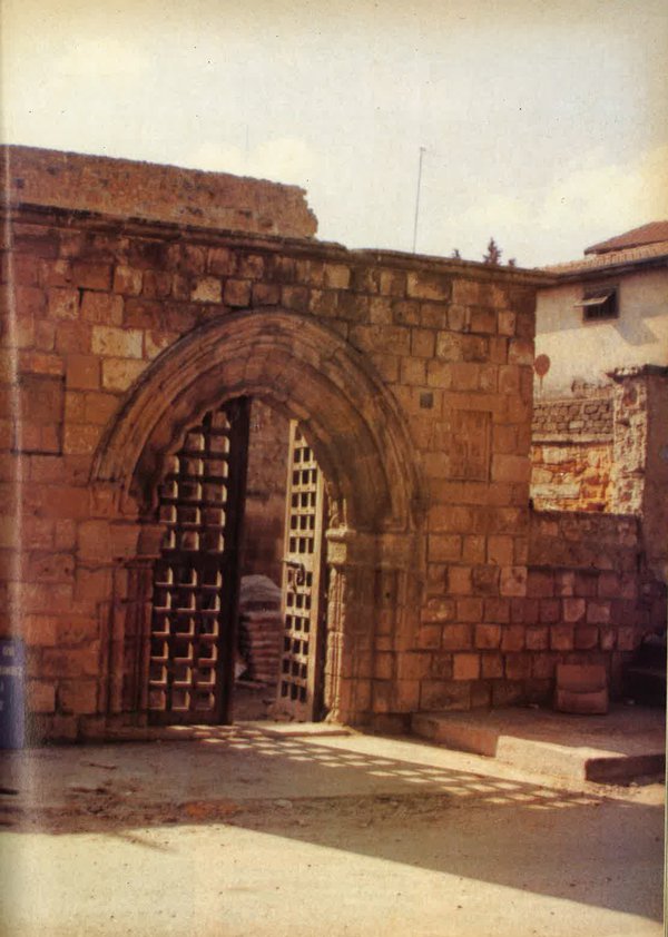 photo 2.jpg