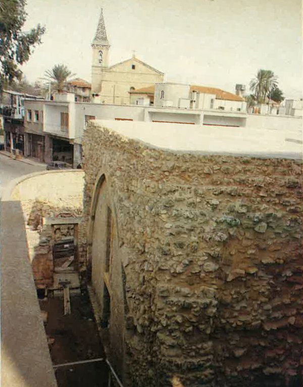 photo 3.jpg