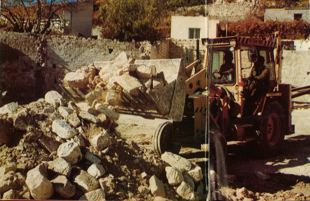 photo 6.jpg