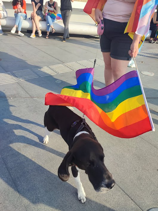 pride8.jpg