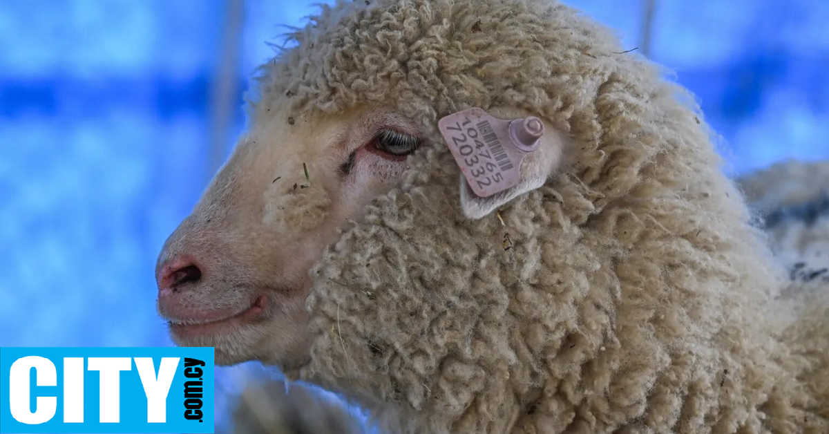 &Pi;ώ&sigmaf; &epsilon;&xi;&epsilon;&lambda;ί&sigma;&sigma;&epsilon;&tau;&alpha;&iota;, έ&nu;&alpha;&nu; &chi;&rho;ό&nu;&omicron; &mu;&epsilon;&tau;ά &tau;&eta; &gamma;έ&nu;&nu;&eta;&sigma;ή &tau;&omicron;&upsilon;, &tau;&omicron; &pi;&rho;ώ&tau;&omicron; &gamma;&omicron;&nu;&iota;&delta;&iota;&alpha;&kappa;ά &epsilon;&pi;&epsilon;&xi;&epsilon;&rho;&gamma;&alpha;&sigma;&mu;έ&nu;&omicron; &pi;&rho;ό&beta;&alpha;&tau;&omicron; &tau;&eta;&sigmaf; &Iota;&nu;&delta;ί&alpha;&sigmaf;