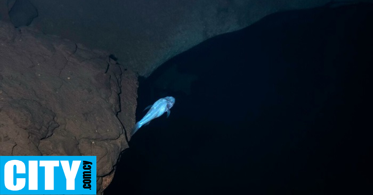 &Alpha;&nu;&alpha;&kappa;&alpha;&lambda;ύ&phi;&theta;&eta;&kappa;&epsilon; έ&nu;&alpha; &nu;έ&omicron; &epsilon;ί&delta;&omicron;&sigmaf; &psi;&alpha;&rho;&iota;&omicron;ύ, &pi;&omicron;&upsilon; &alpha;&lambda;&lambda;ά&zeta;&epsilon;&iota; ό&sigma;&alpha; &gamma;&nu;&omega;&rho;ί&zeta;&alpha;&mu;&epsilon; &gamma;&iota;&alpha; &tau;&eta;&nu; &epsilon;&xi;έ&lambda;&iota;&xi;&eta; &tau;&omega;&nu; &upsilon;&pi;ό&gamma;&epsilon;&iota;&omega;&nu; &omicron;&iota;&kappa;&omicron;&sigma;&upsilon;&sigma;&tau;&eta;&mu;ά&tau;&omega;&nu;