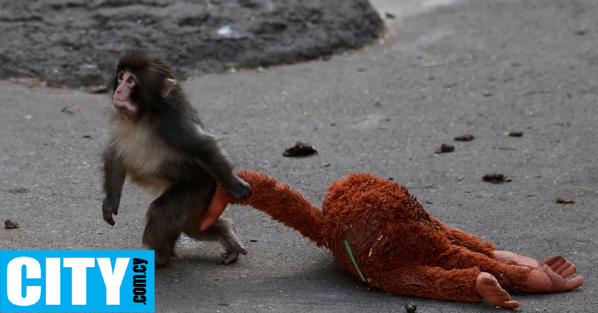 &Eta; &epsilon;&pi;&iota;&sigma;&tau;&eta;&mu;&omicron;&nu;&iota;&kappa;ή &epsilon;&xi;ή&gamma;&eta;&sigma;&eta; &pi;ί&sigma;&omega; &alpha;&pi;ό &tau;&eta; &sigma;&upsilon;&gamma;&kappa;ί&nu;&eta;&sigma;&eta; &pi;&omicron;&upsilon; &pi;&rho;&omicron;&kappa;&alpha;&lambda;&epsilon;ί &omicron; &omicron;&rho;&phi;&alpha;&nu;ό&sigmaf; Punch