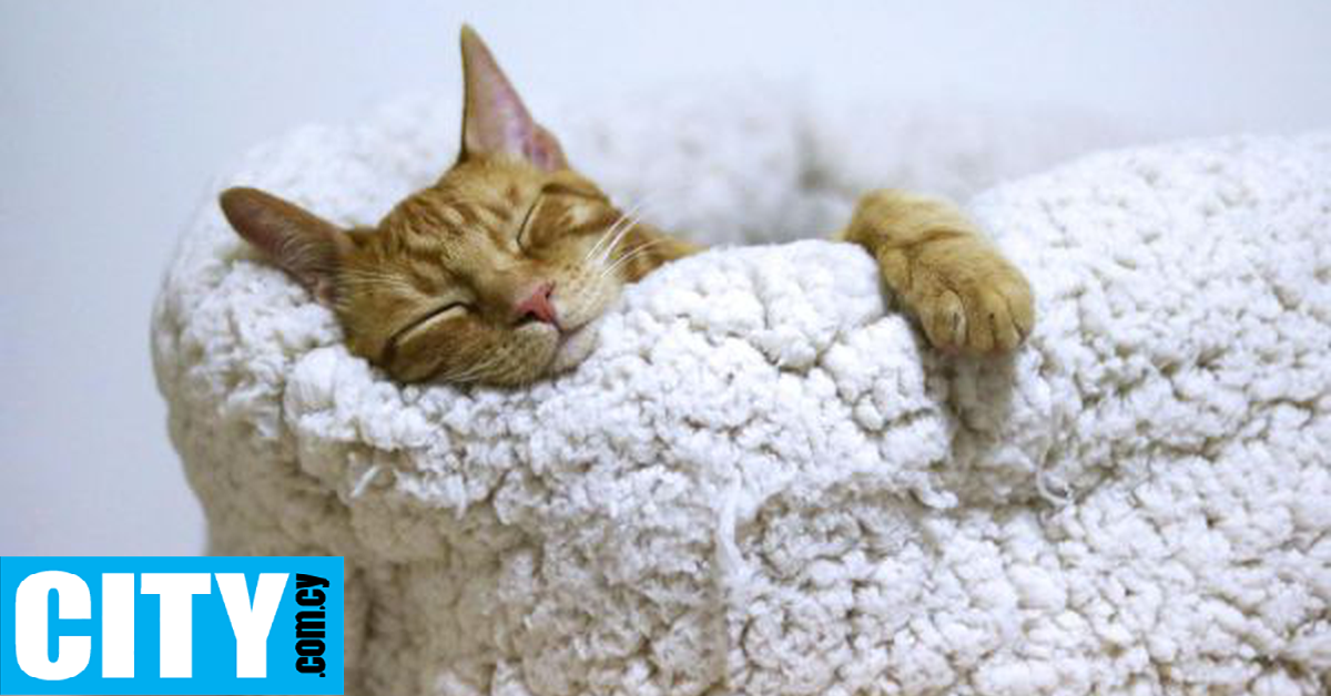 &Tau;&iota; &epsilon;ί&nu;&alpha;&iota; &tau;&omicron; sleep banking, &xi;έ&rho;&epsilon;&iota;&sigmaf;;