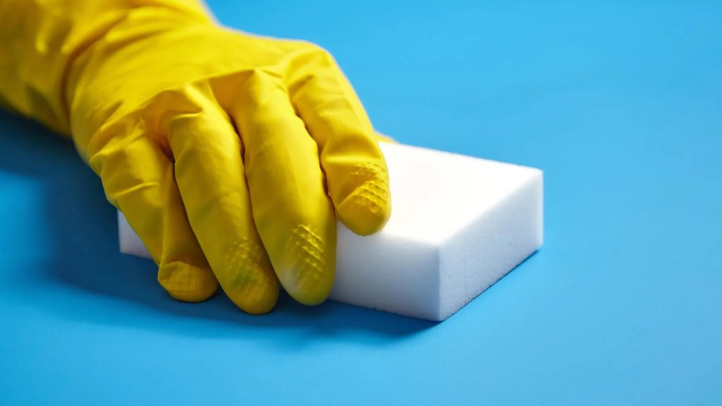sponges.jpg