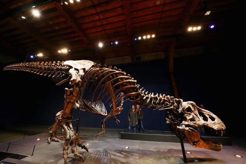 trex.jpg