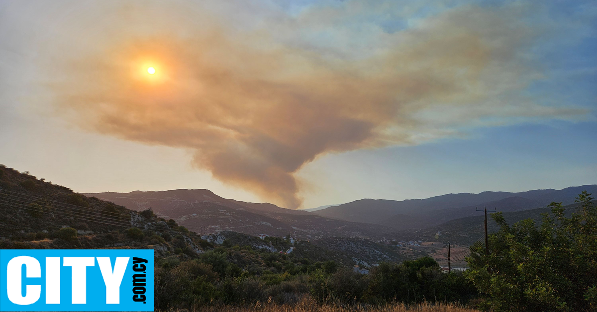 Από πυροτέχνημα που άναψαν ανήλικοι ξέσπασε η φωτιά στην Τριμίκλινη