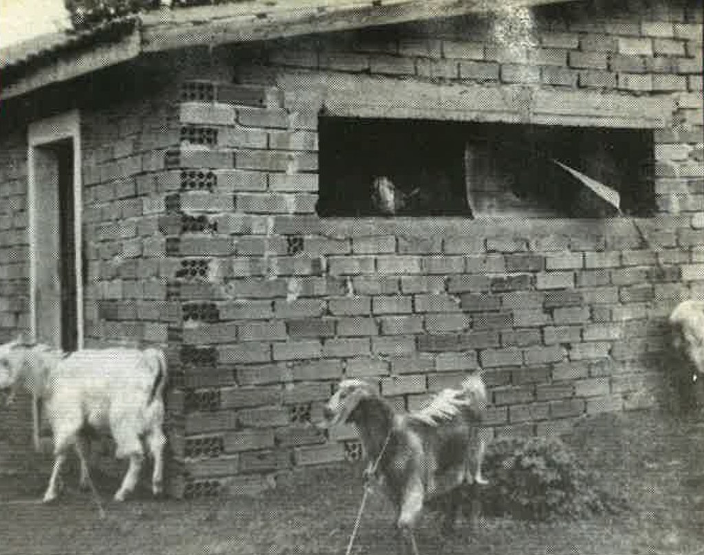 tsouroues.jpg