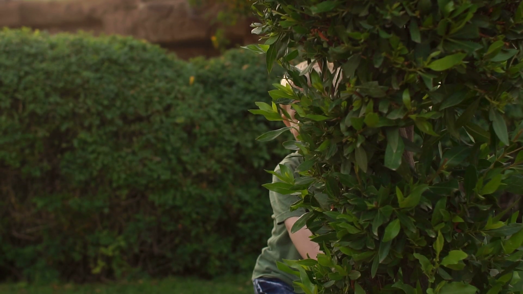 videoblocks-little-boy-hiding-behind-a-tree-playing-hide-and-seek-slow-motion_h1lzbouycx_thumbnail-full01.png
