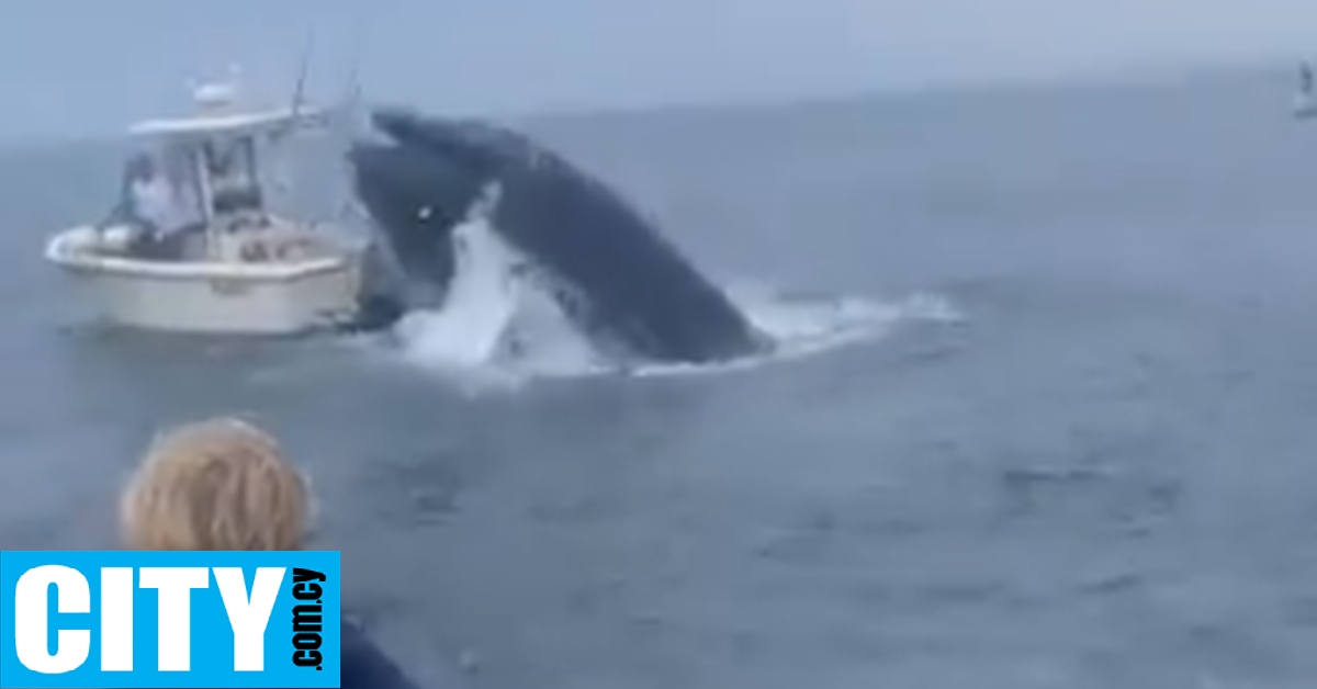 Βίντεο κατέγραψε τη στιγμή που (πεινασμένη) φάλαινα πέφτει πάνω σε βάρκα ρίχνοντας τους ψαράδες στη θάλασσα