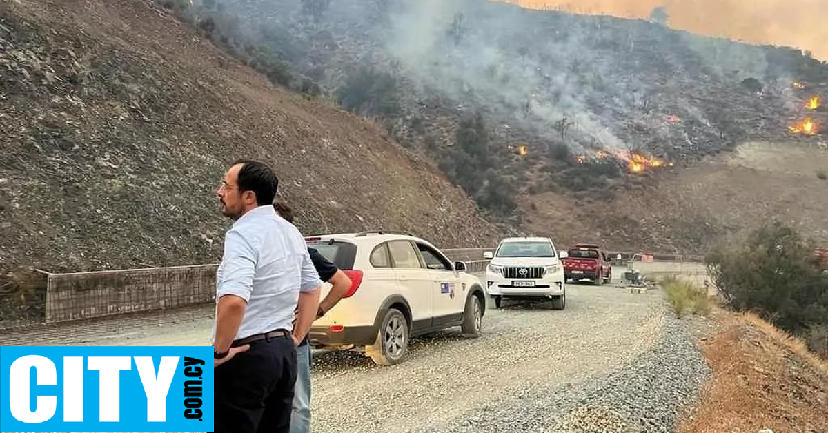 Ένα (άτεχνα) σκηνοθετημένο προεδρικό διάγγελμα και ένα (εντέχνως) στημένο κυνήγι αλλοδαπών εμπρηστών Ένα (άτεχνα) σκηνοθετημένο προεδρικό διάγγελμα και ένα (εντέχνως) στημένο κυνήγι αλλοδαπών εμπρηστών