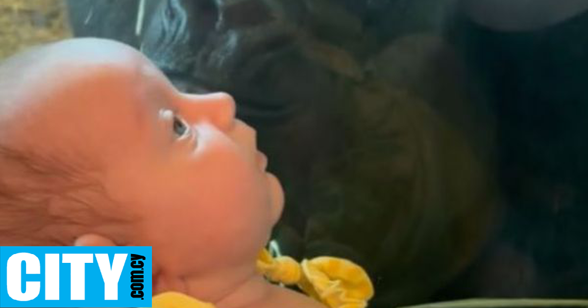 Γορίλας προσπάθησε να φιλήσει ένα μωρό και έγινε Viral [ΒΙΝΤΕΟ]